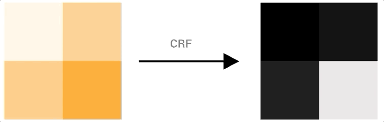 CRF Animation